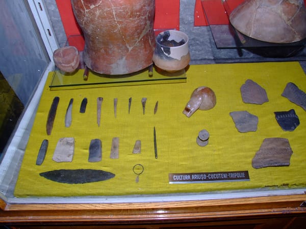 Ancient DNA in the 5th Millennium Carpathian Basin