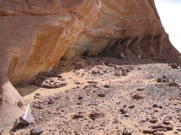 Unearthing North African Ancestry: Prehistoric DNA from the Green Sahara