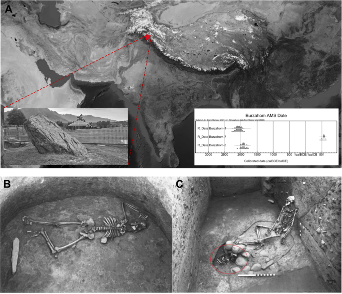 Unveiling Kashmirs Genetics: Ancient DNA Reveals Complex Migrations in Neolithic to Medieval Eras